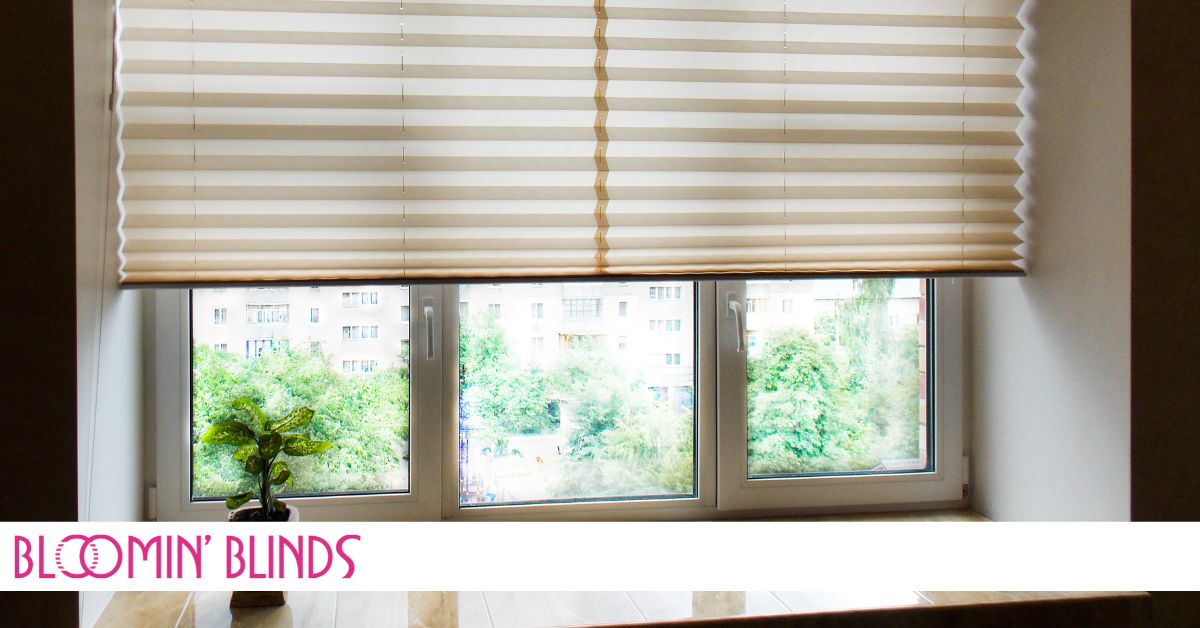 cellular shades on window