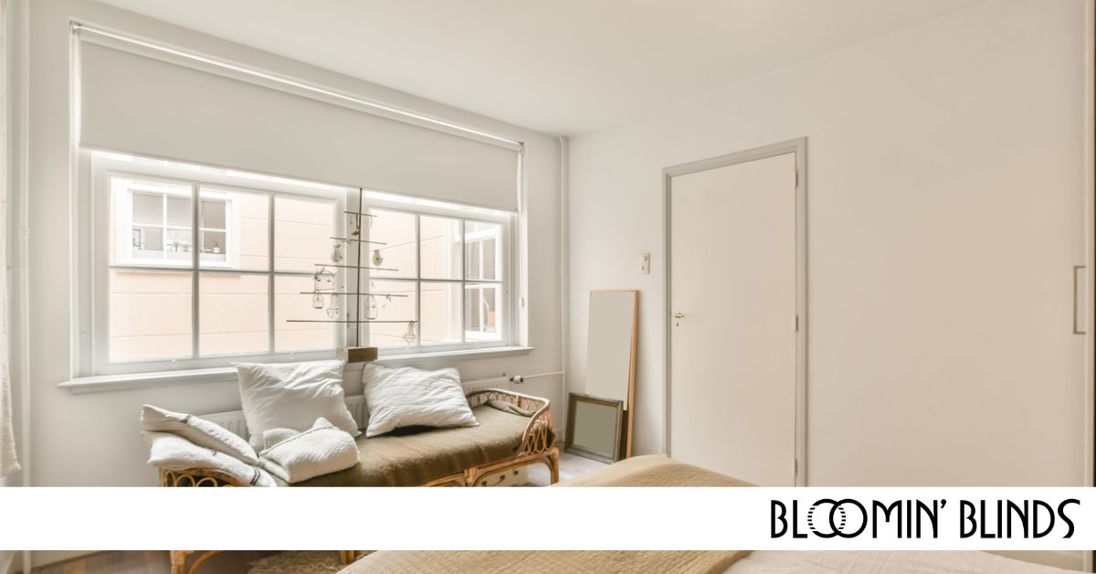 nice window with shades