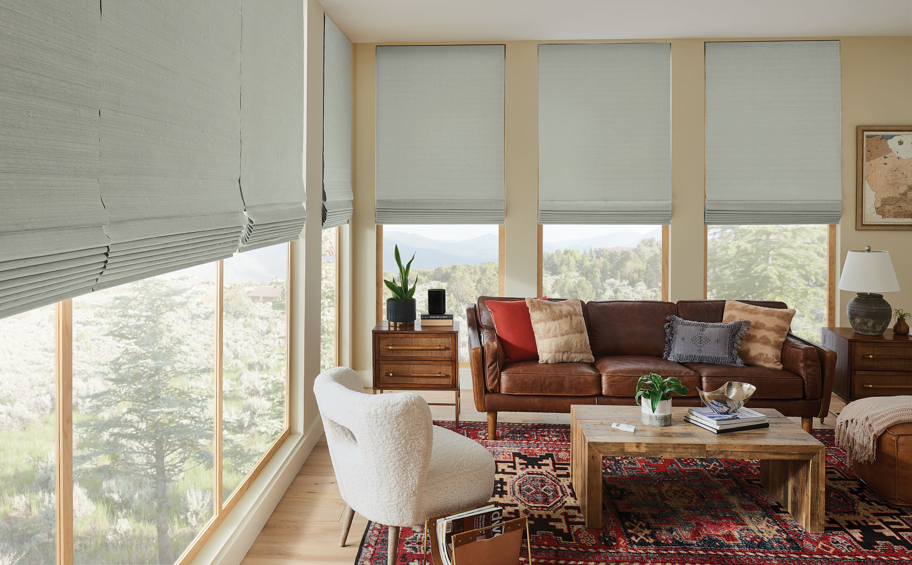 Window Blinds & Treatments Near Me in Dallas, TX