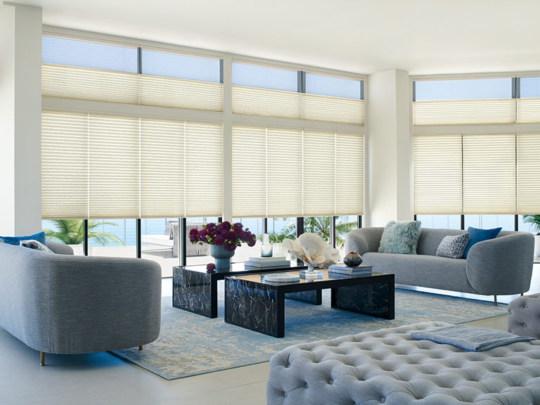 custom Window Blinds